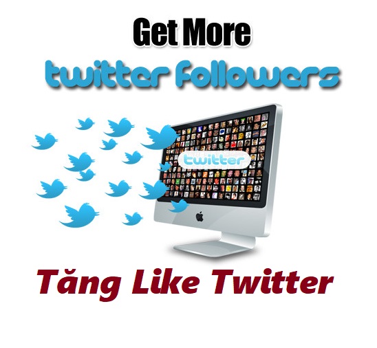 sử dụng web tăng follow twitter tự động