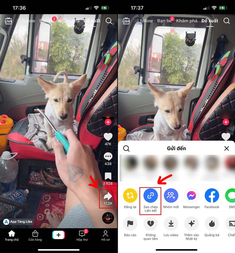 lấy link tăng tim tiktok