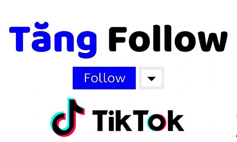 Cách tăng follow TikTok miễn phí dành cho bạn